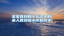 宝宝姓刘取什么名字好(本人姓刘给小孩取名字)