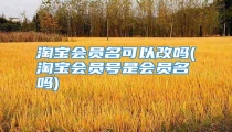 淘宝会员名可以改吗(淘宝会员号是会员名吗)
