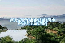 属兔招财必备的法宝(风水财运怎么能招财)