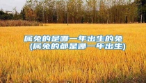属兔的是哪一年出生的兔 (属兔的都是哪一年出生)