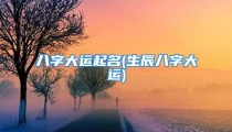 八字大运起名(生辰八字大运)