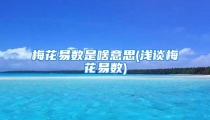 梅花易数是啥意思(浅谈梅花易数)