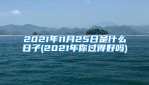 2021年11月25日是什么日子(2021年你过得好吗)