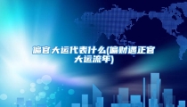 偏官大运代表什么(偏财遇正官大运流年)