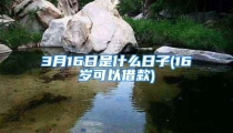 3月16日是什么日子(16岁可以借款)