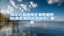 梅花心易和梅花易数相同吗(教你如何起卦算命)_重复