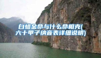 白蜡金命与什么命相克(六十甲子纳音表详细说明)