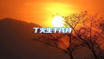 丁火生于戌月