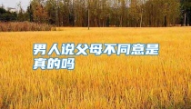男人说父母不同意是真的吗