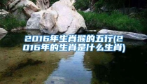 2016年生肖猴的五行(2016年的生肖是什么生肖)