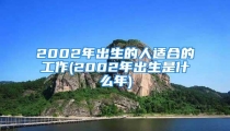 2002年出生的人适合的工作(2002年出生是什么年)