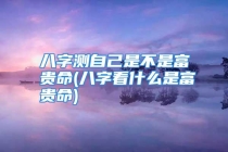 八字测自己是不是富贵命(八字看什么是富贵命)