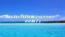 5月12日结婚(20220222到了)