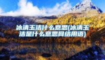 冰清玉洁什么意思(冰清玉洁是什么意思网络用语)
