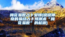 梅花易数占卜爱情(说说神奇的易经占卜预测术“梅花易数”的起源)