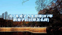 87年兔子人生感悟(87年的兔子们过得怎么样)