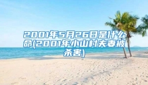2001年5月26日是什么命(2001年小山村夫妻被杀害)