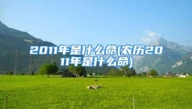 2011年是什么命(农历2011年是什么命)