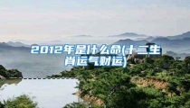 2012年是什么命(十二生肖运气财运)