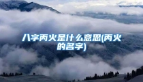 八字丙火是什么意思(丙火的名字)