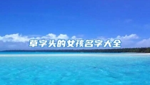 草字头的女孩名字大全