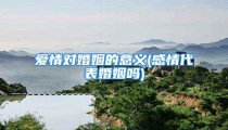 爱情对婚姻的意义(感情代表婚姻吗)