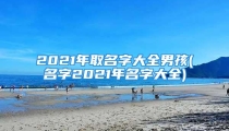 2021年取名字大全男孩(名字2021年名字大全)