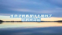 生命灵数看是什么阻挡了你的桃花运