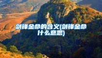 剑锋金命的含义(剑锋金命什么意思)