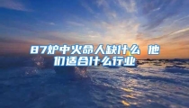87炉中火命人缺什么 他们适合什么行业