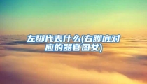 左脚代表什么(右脚底对应的器官图女)