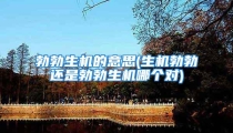 勃勃生机的意思(生机勃勃还是勃勃生机哪个对)