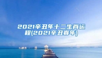 2021辛丑年十二生肖运程(2021辛丑寡年)