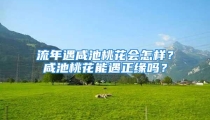 流年遇咸池桃花会怎样?咸池桃花能遇正缘吗?