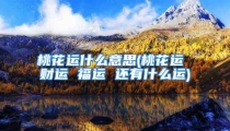 桃花运什么意思(桃花运 财运 福运 还有什么运)