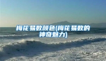 梅花易数颜色(梅花易数的神奇魅力)