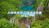 八字中天干(八字天干代表什么)