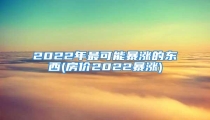 2022年最可能暴涨的东西(房价2022暴涨)