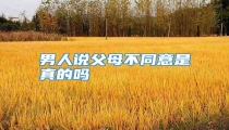 男人说父母不同意是真的吗