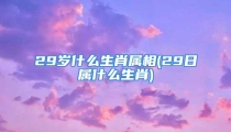 29岁什么生肖属相(29日属什么生肖)
