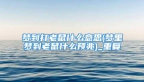 梦到打老鼠什么意思(梦里梦到老鼠什么预兆)_重复