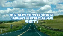 梅花易数进阶教程(值得学习的梅花易数基础知识先收藏了)