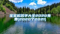 宝宝起名字大全2020免费(2020个2021)