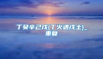 丁癸辛己戊(丁火遇戊土)_重复