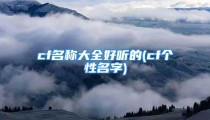 cf名称大全好听的(cf个性名字)