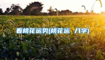 看桃花运势(桃花运 八字)