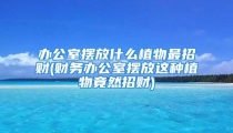 办公室摆放什么植物最招财(财务办公室摆放这种植物竟然招财)