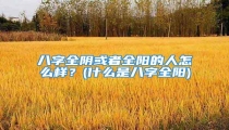 八字全阴或者全阳的人怎么样?(什么是八字全阳)