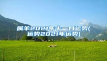 属羊2021年十一月运势(运势2021年运势)