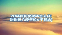 70年属狗女晚年怎么样(狗狗进入晚年的6个标志)